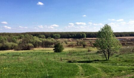 Три русские миниатюры