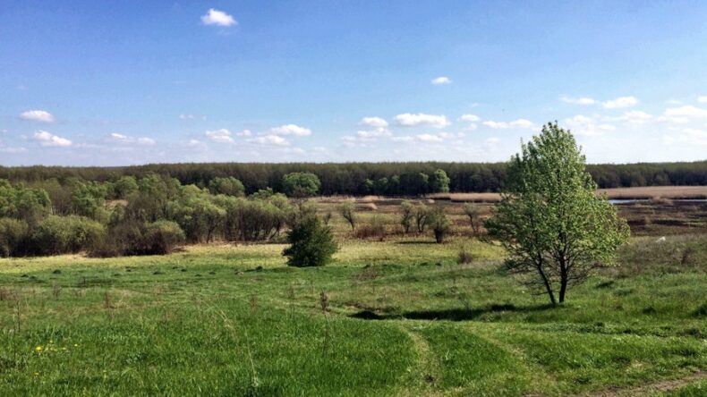 Три русские миниатюры